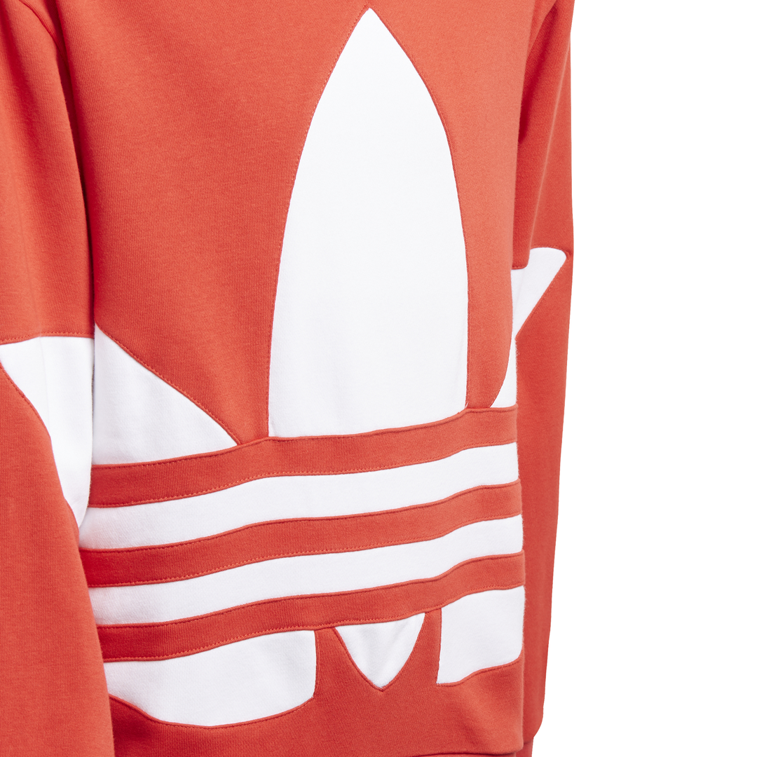 ADIDAS BG TREFOIL HOOD