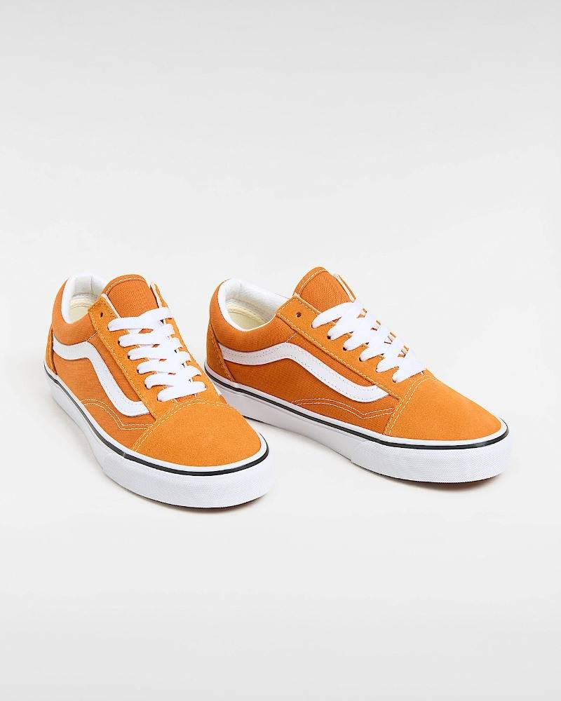 VANS OLD SKOOL COLOR THEORY SHOES