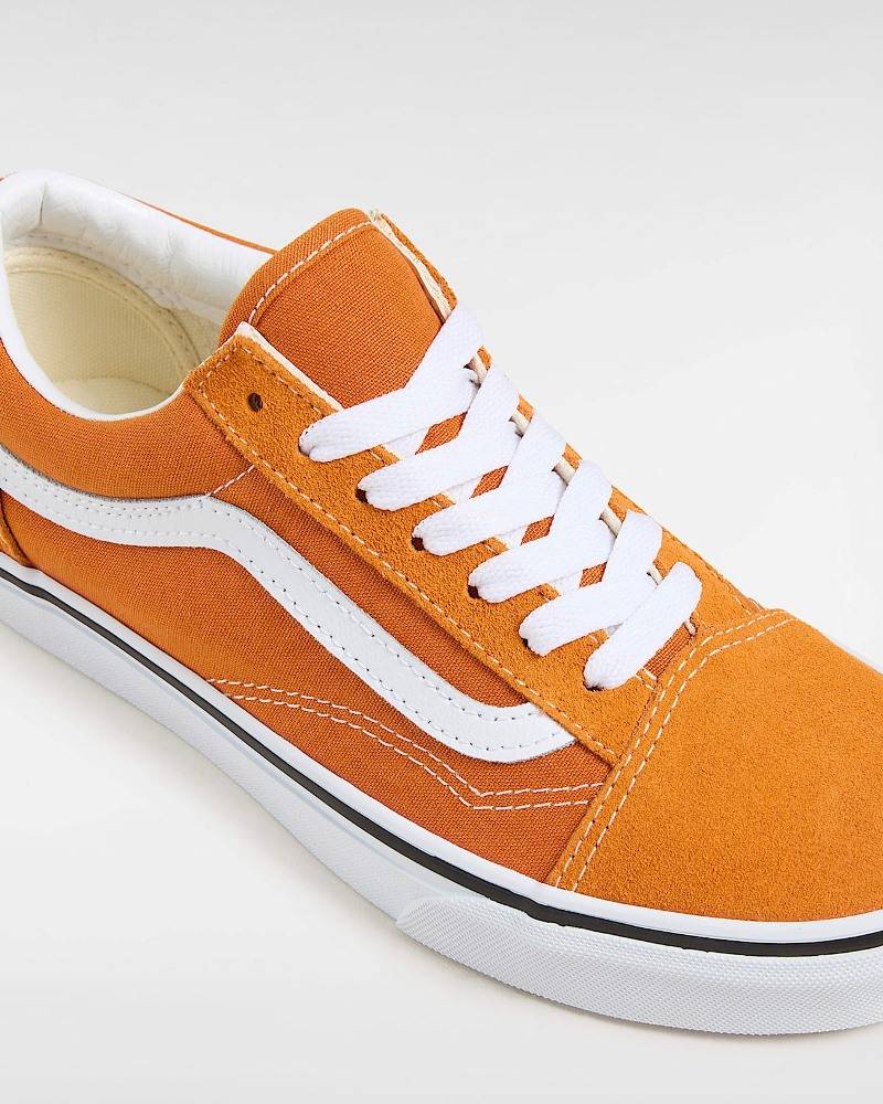 VANS OLD SKOOL COLOR THEORY SHOES