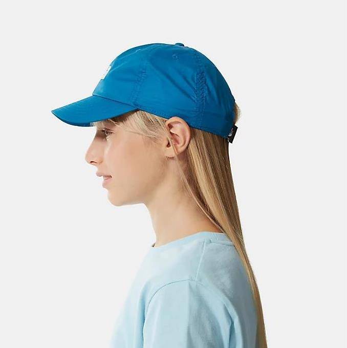 NORTH FACE YOUTH 66 CLASSIC TECH BALL CAP