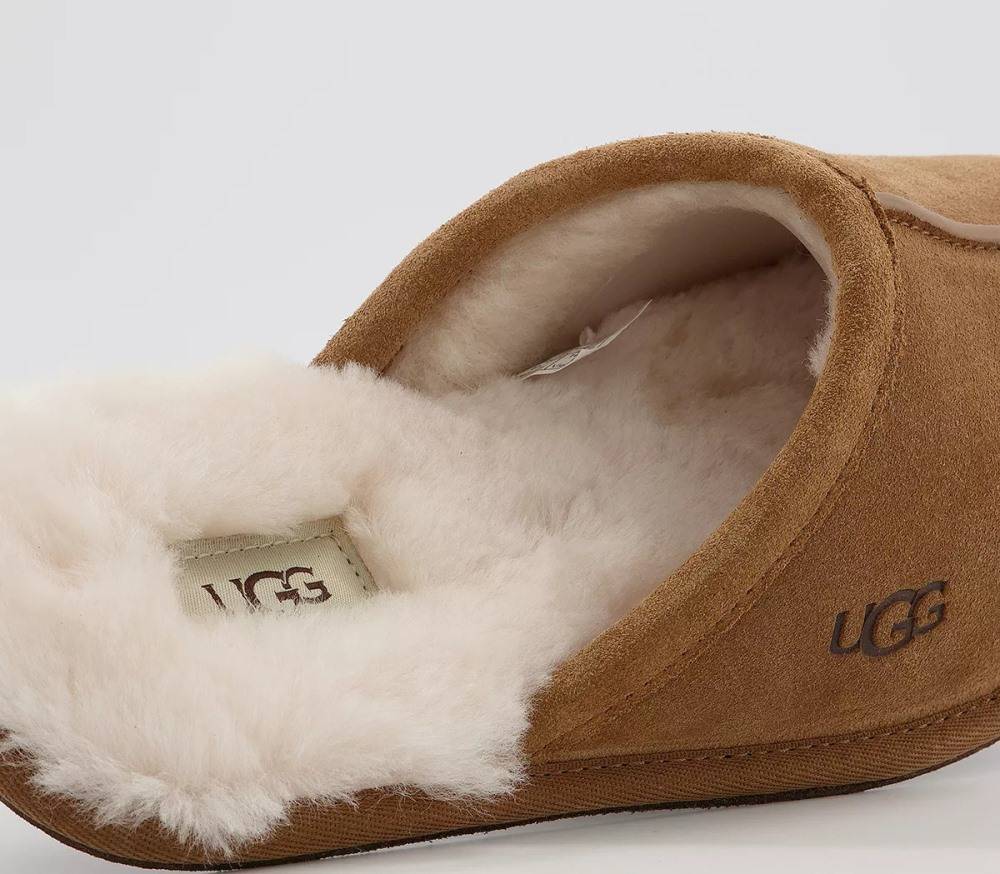 UGG SCUFF MENS SLIPPER