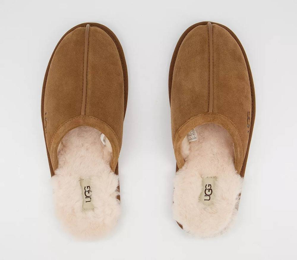 UGG SCUFF MENS SLIPPER