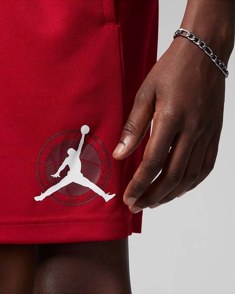 NIKE JORDAN YOUTH GYM 23 MESH SHORTS