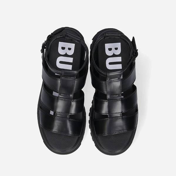 BUFFALO ASPHA GLD