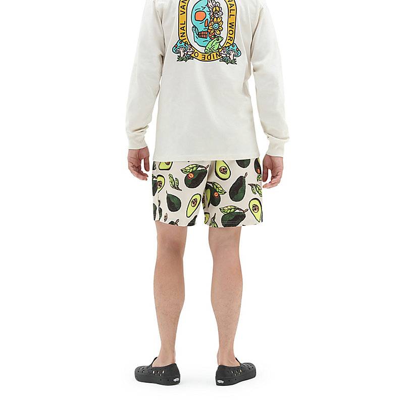 VANS PRIMARY PRINT ELASTIC BOARDSHORT