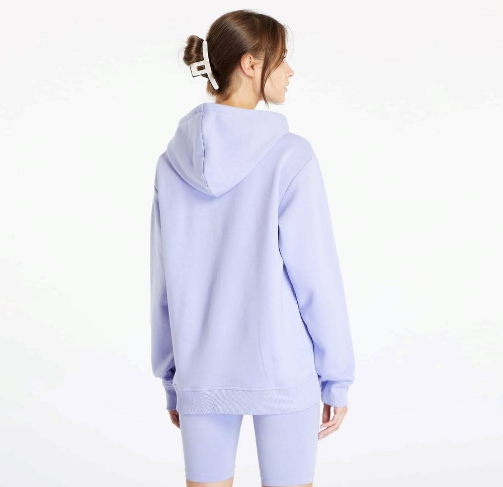 VANS WMNS CLASSIC V BOYFRIEND FIT HOODIE