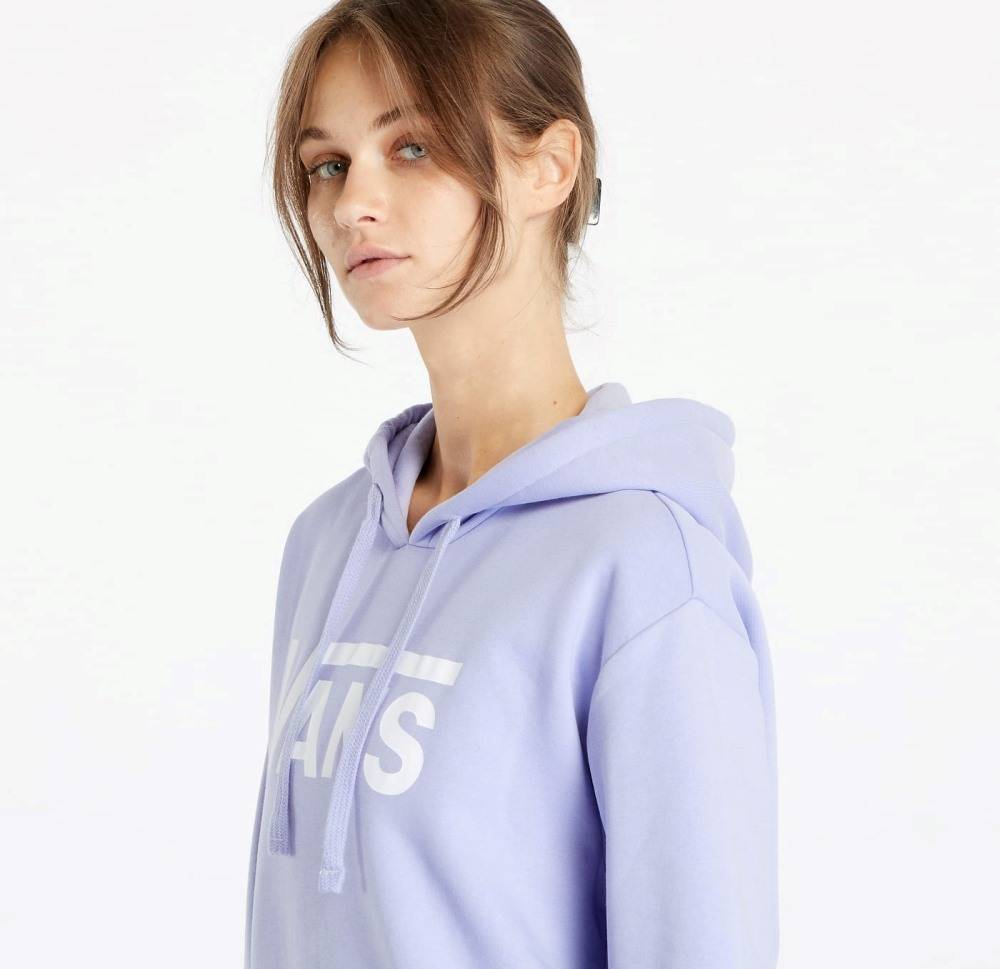 VANS WMNS CLASSIC V BOYFRIEND FIT HOODIE