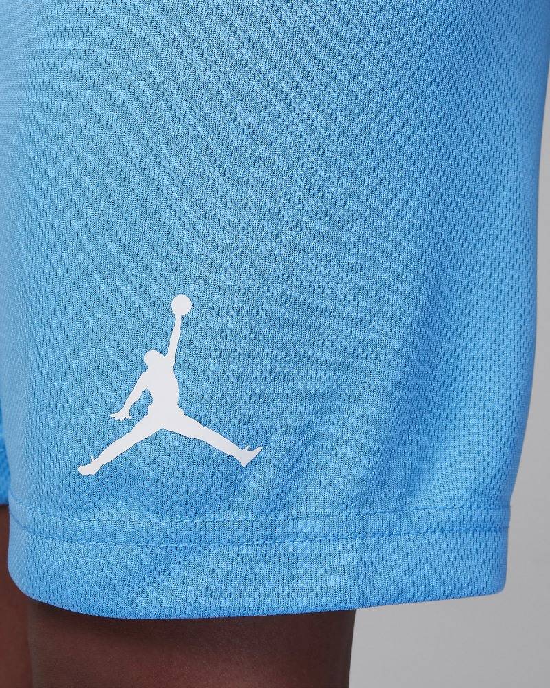 NIKE JORDAN LITTLE KIDS JORDAN 23 JERSEY SET