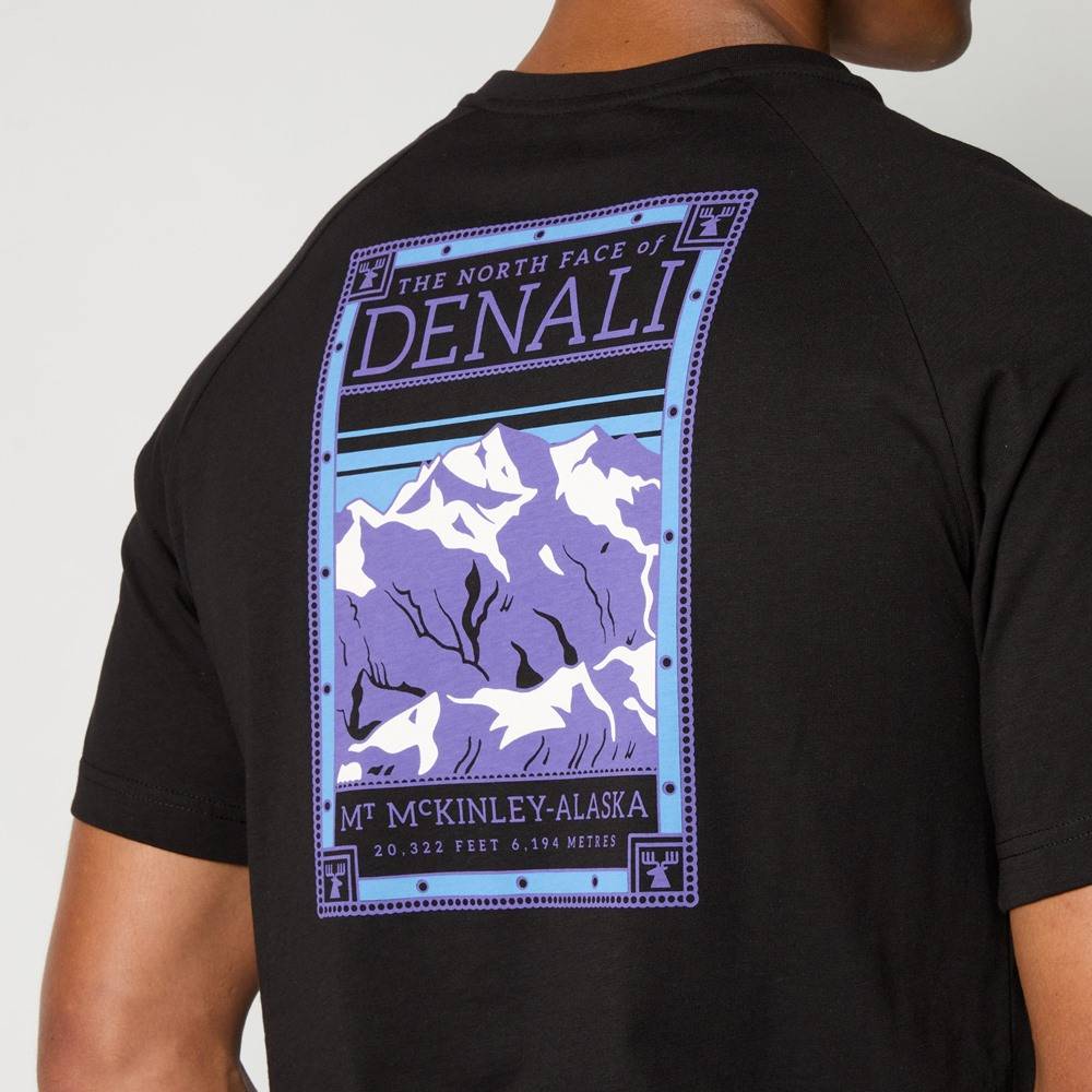 THE NORTH FACE MENS S/S NORTH FACES TEE