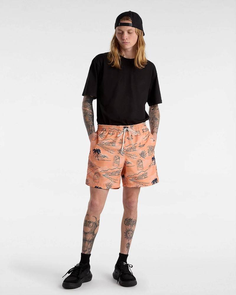 VANS PRIMARY PRINT ELASTIC BOARDSHORT