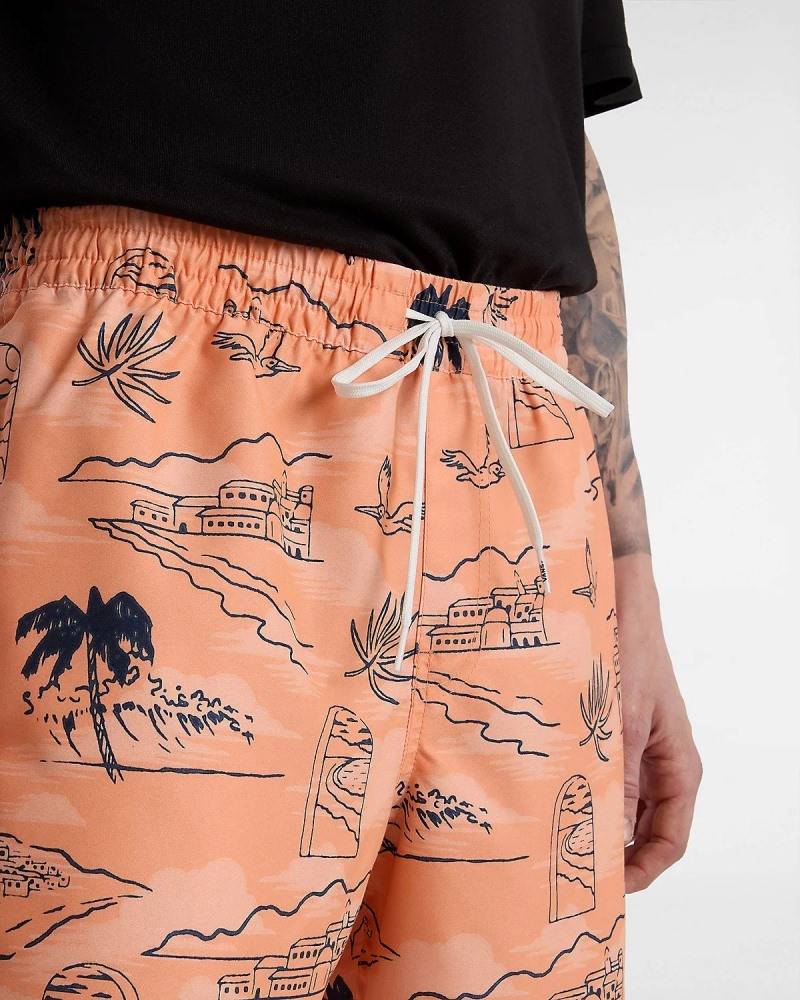 VANS PRIMARY PRINT ELASTIC BOARDSHORT