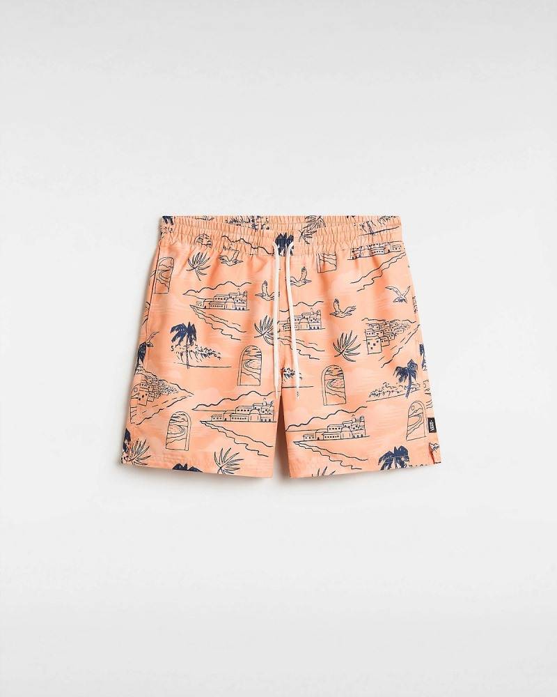 VANS PRIMARY PRINT ELASTIC BOARDSHORT