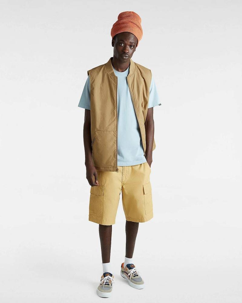 VANS SERVICE CARGO RELAXED SHORT