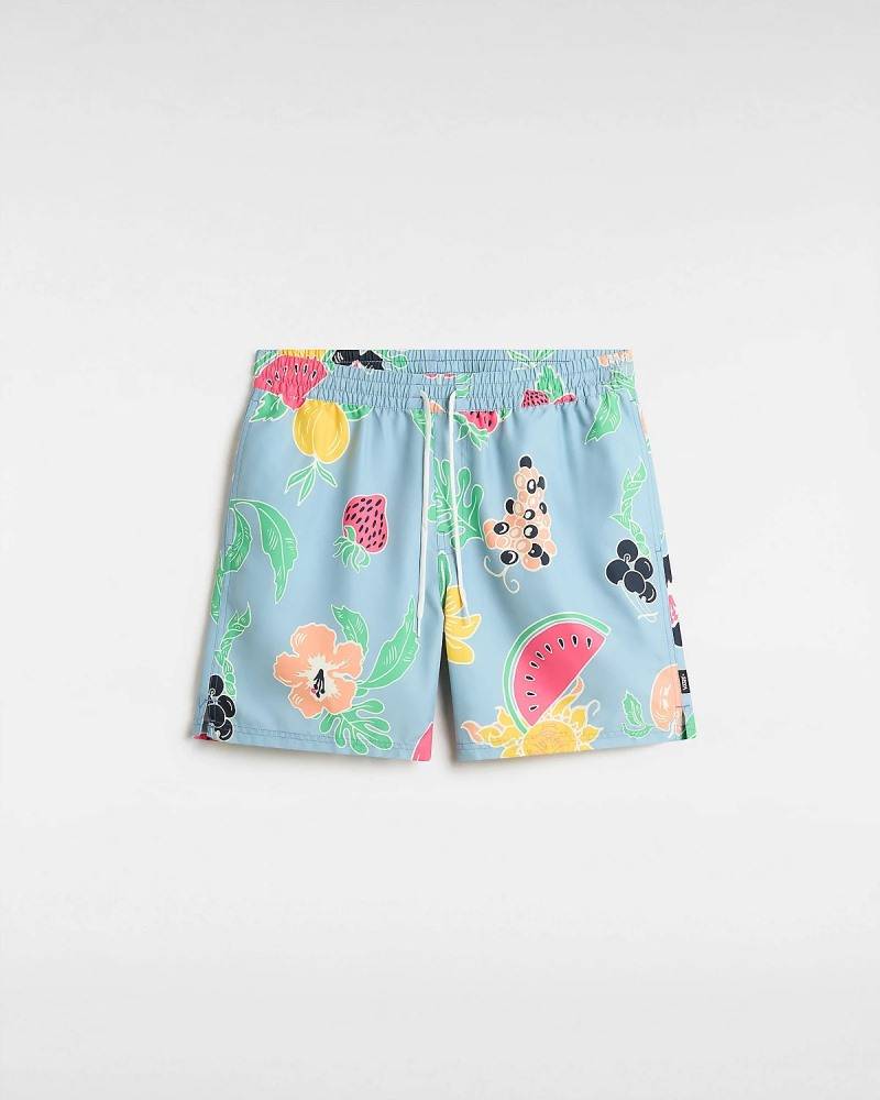 VANS PRIMARY PRINT ELASTIC BOARDSHORT