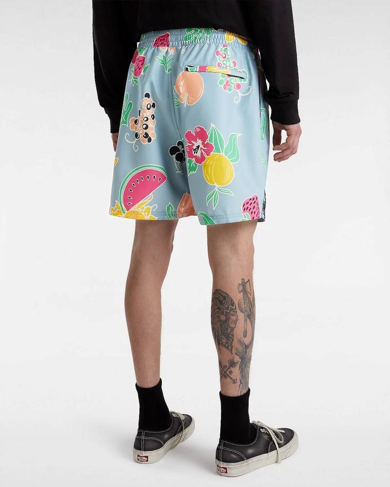 VANS PRIMARY PRINT ELASTIC BOARDSHORT