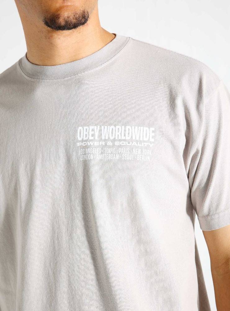OBEY WORLDWIDE POWER & EQUALITY HEAVY WEIGHT TEE