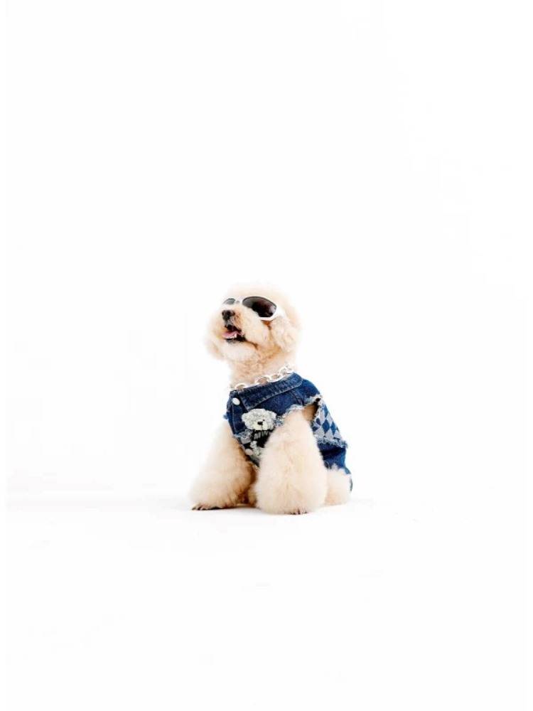 MWM TEDDY PET CLOTHES