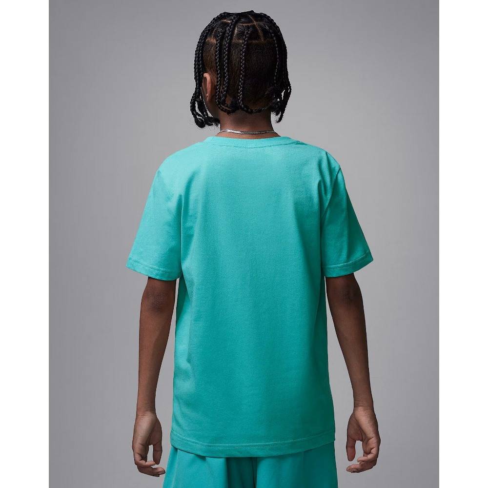 NIKE JORDAN BOYS JUMPMAN AIR EMB