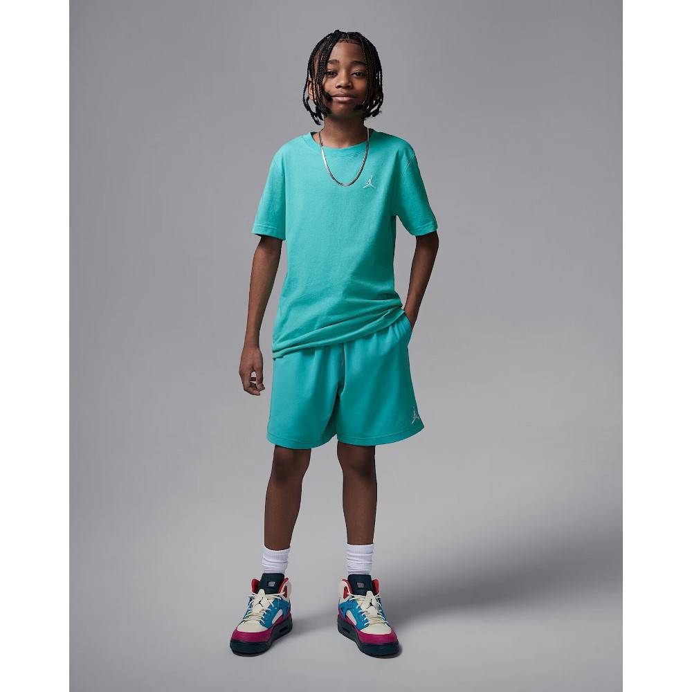 NIKE JORDAN BOYS JUMPMAN AIR EMB