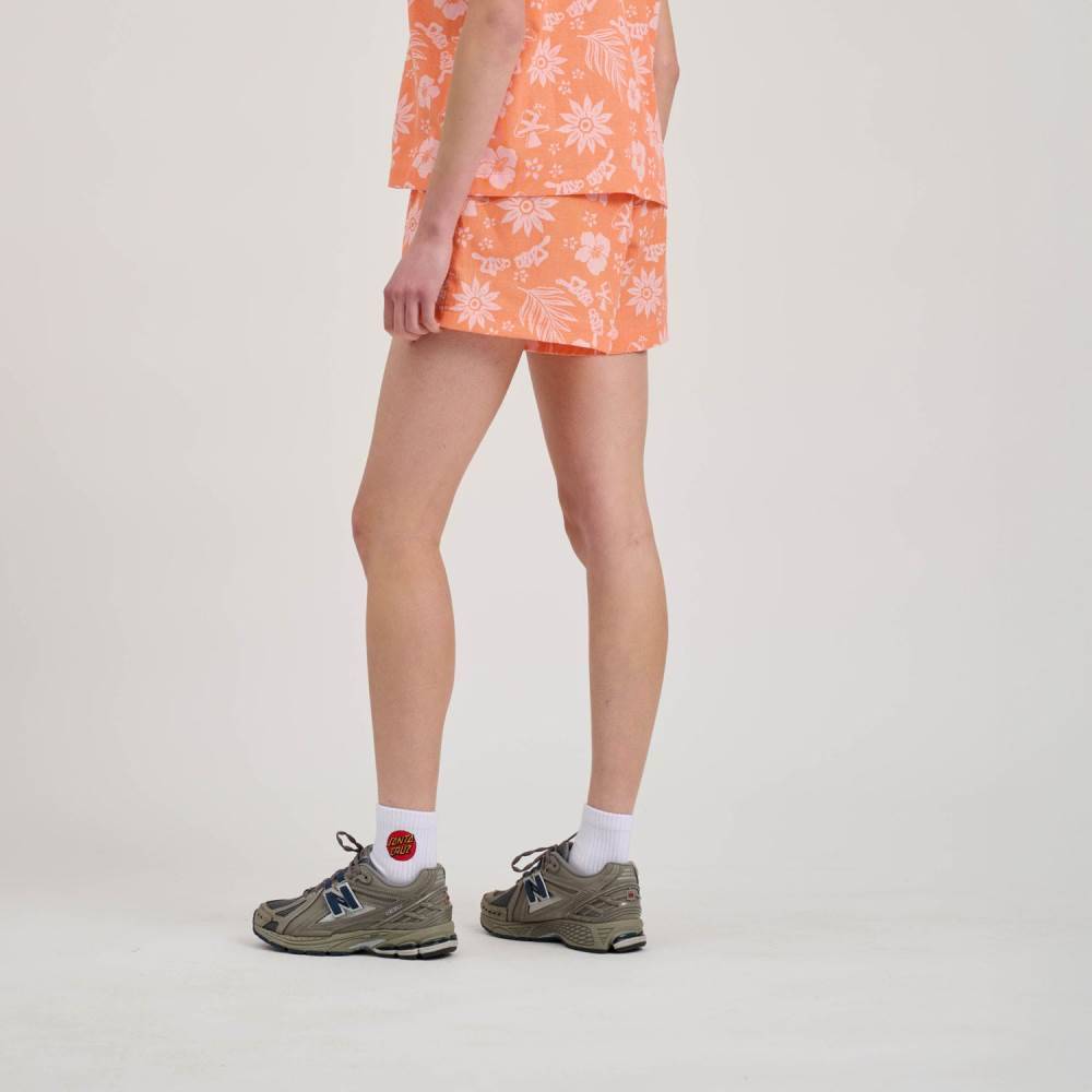 SANTA CRUZ TAKE A TRIP SHORTS
