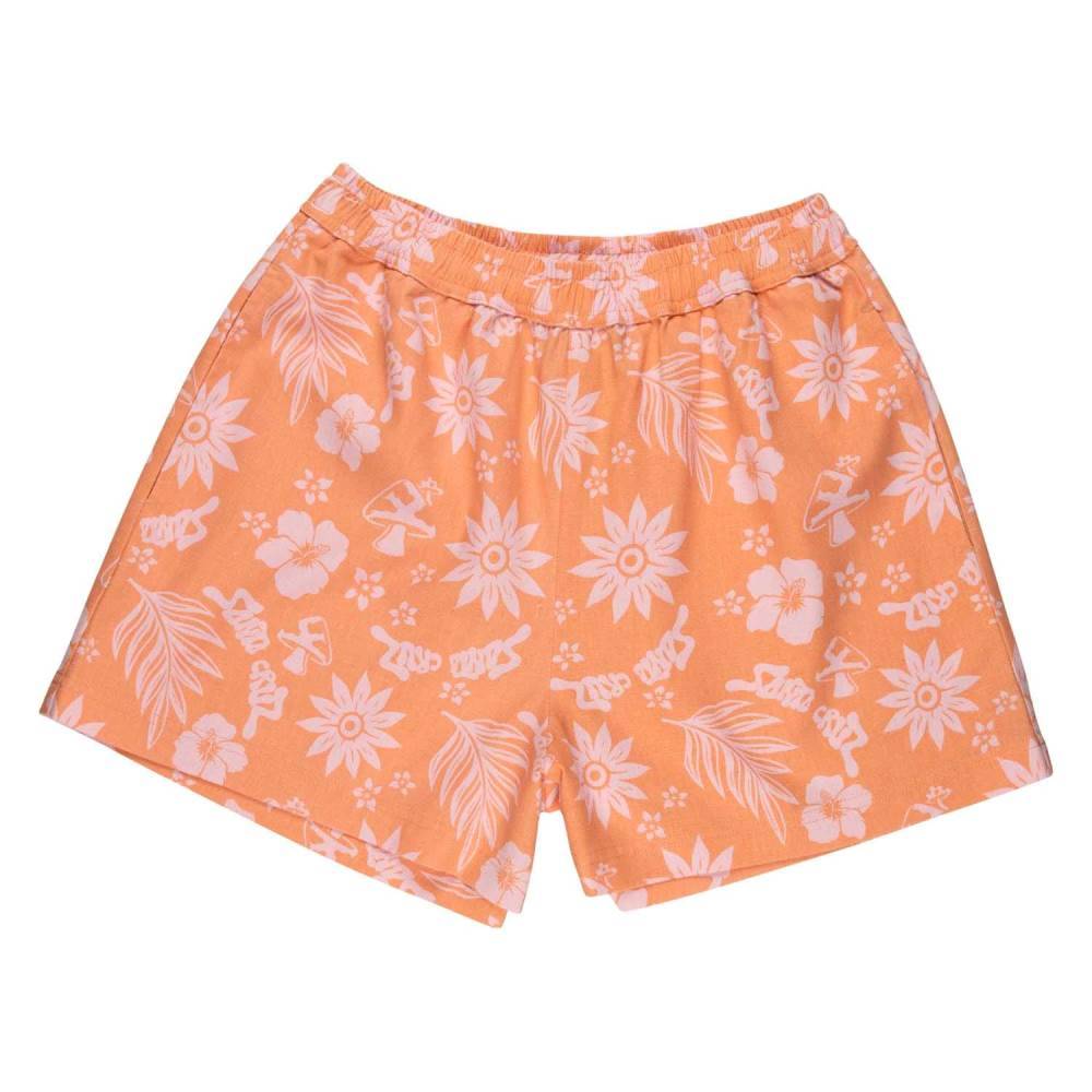 SANTA CRUZ TAKE A TRIP SHORTS