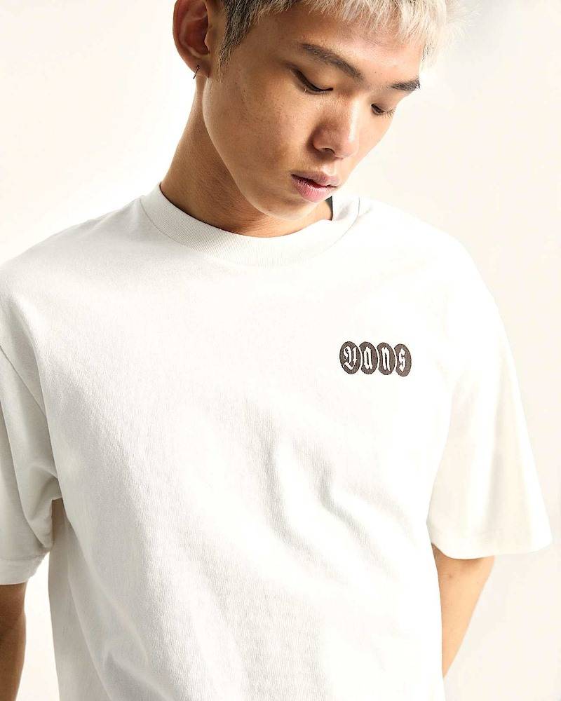 VANS EARTHBOUND LOOSE FIT SS TEE