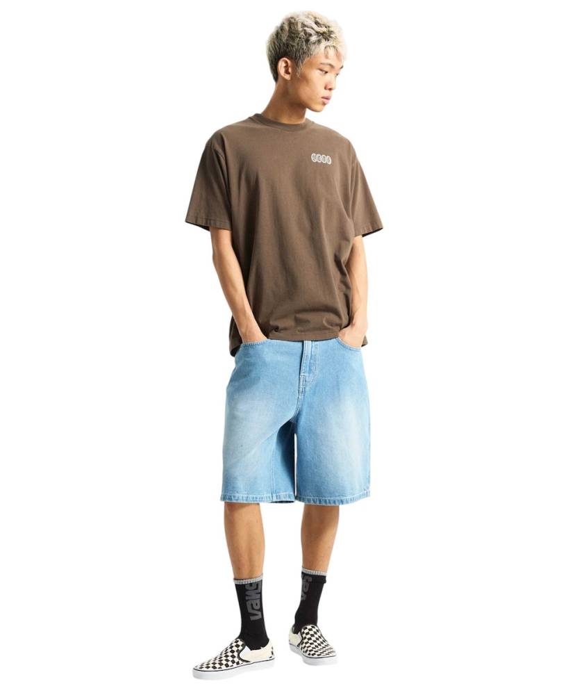 VANS EARTHBOUND LOOSE FIT SS TEE
