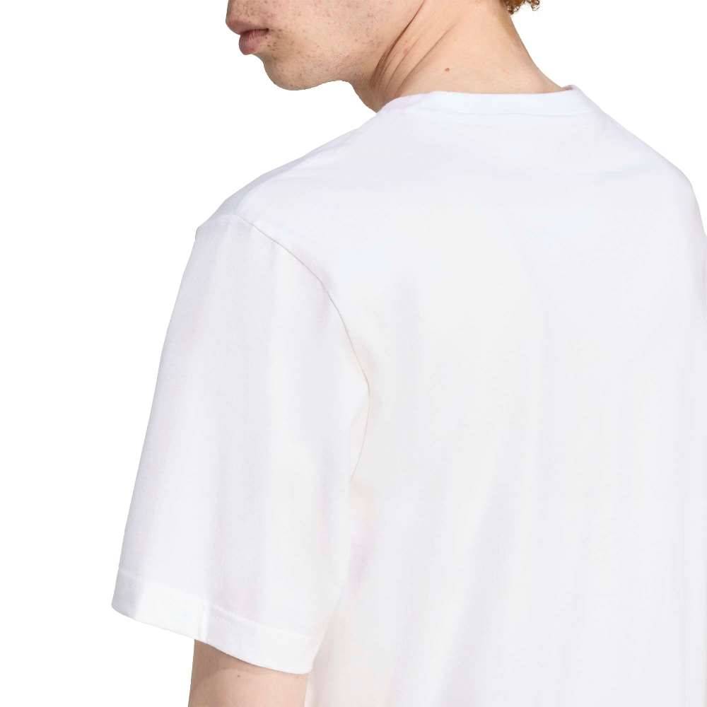 ADIDAS GRAPHIC REG SS