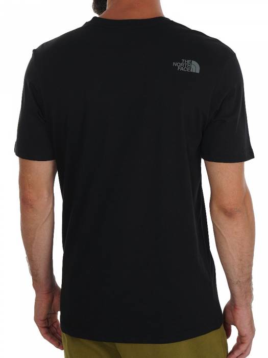 NORTH FACE MENS EASY TEE