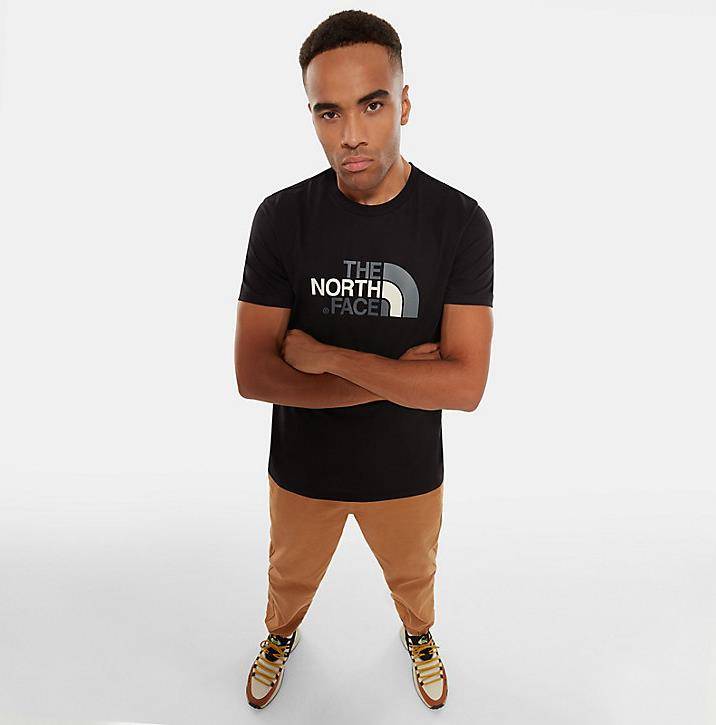 NORTH FACE MENS EASY TEE