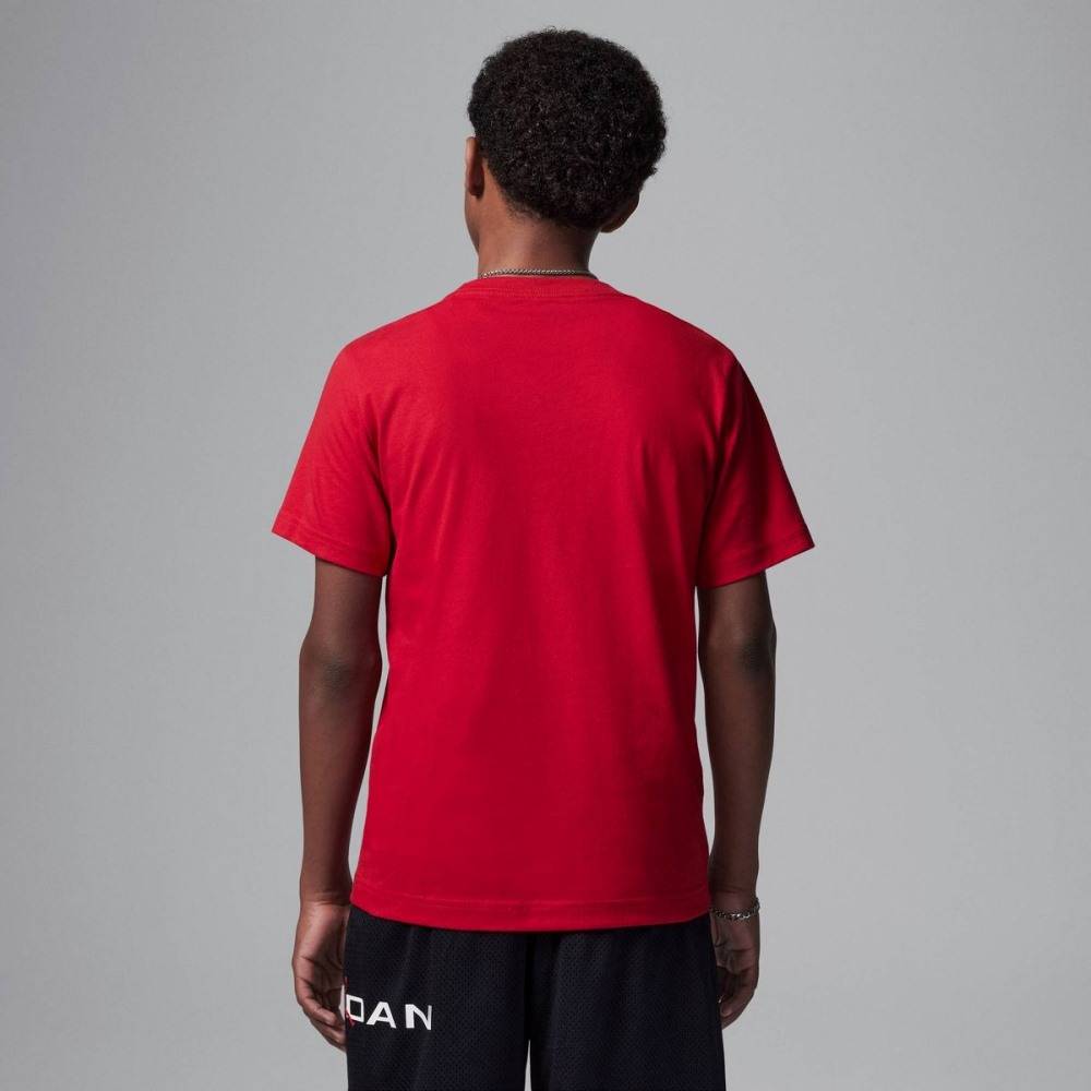 NIKE JORDAN BOYS JUMPMAN AIR EMB