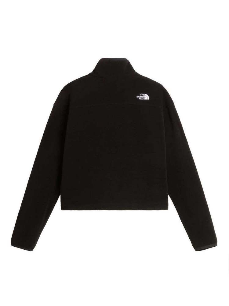 THE NORTH FACE W NOVELTY LOGO GLACIER 1/4 ZIP FLEECE