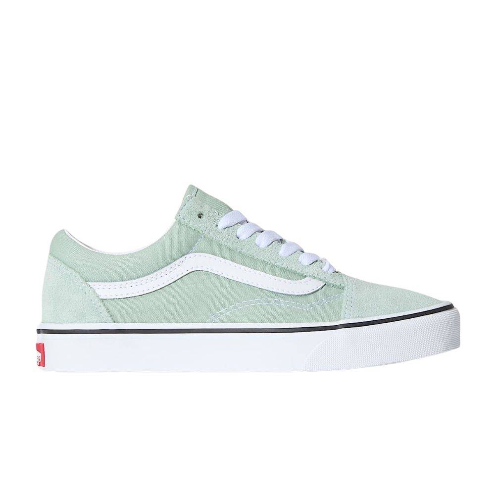 VANS OLD SKOOL COLOR THEORY SHOES