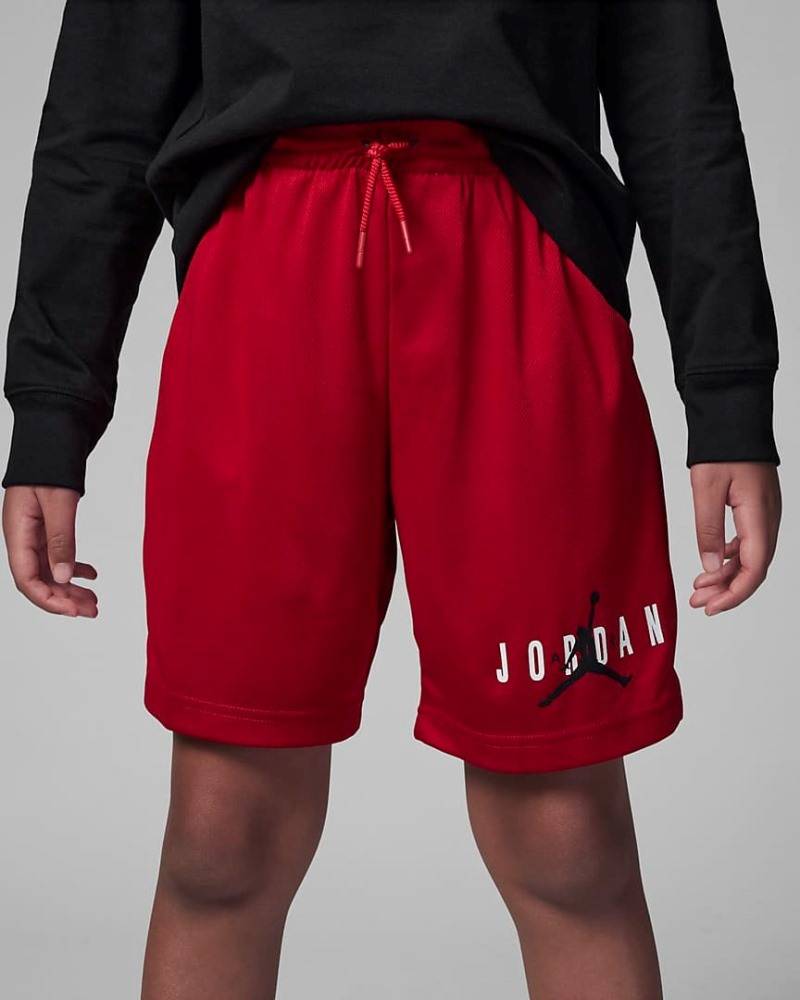 NIKE JORDAN ESSENTIALS GRAPHIC MESH SHORT