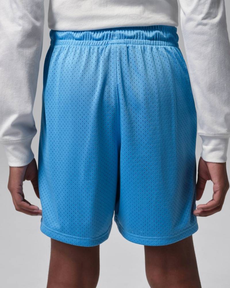 NIKE JORDAN BOYS MJ 23 SPORT SHORT