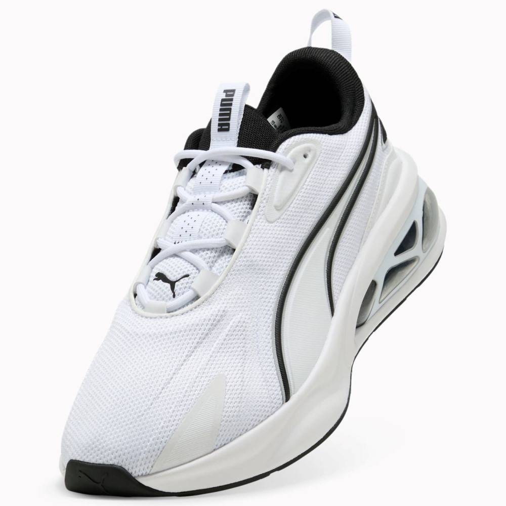PUMA CELL SOLAR