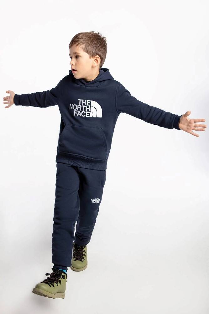 NORTH FACE YOUTH DREW PEAK HOODIE