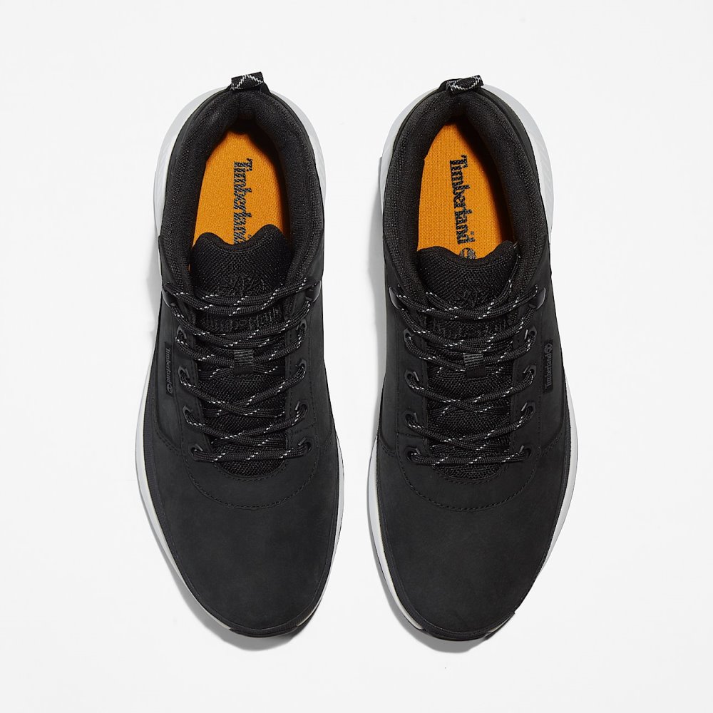 TIMBERLAND FIELD TREKKER LOW LACE UP SNEAKER