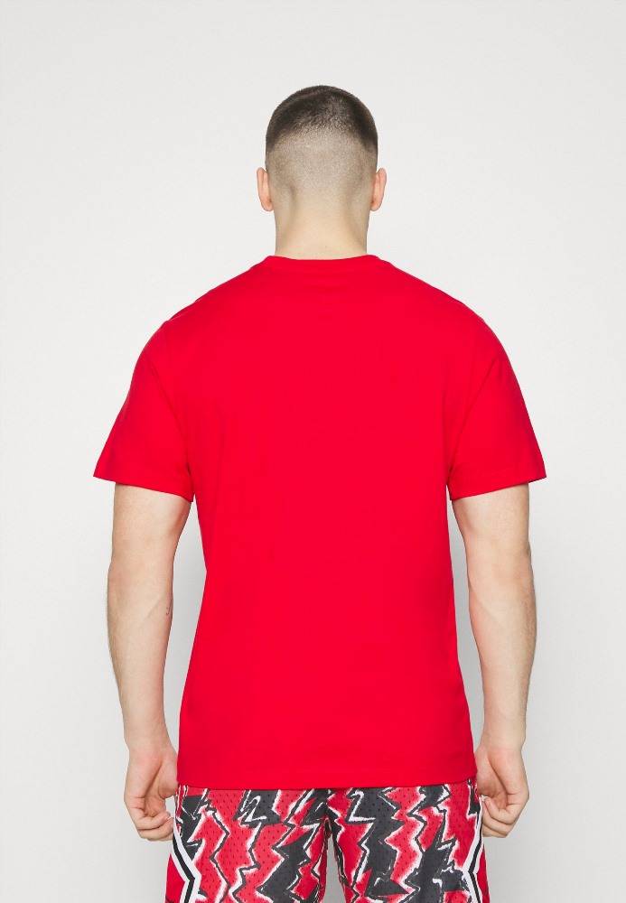 NIKE NBA JORDAN CHICAGO BULLS ESSENTIALS SS TEE