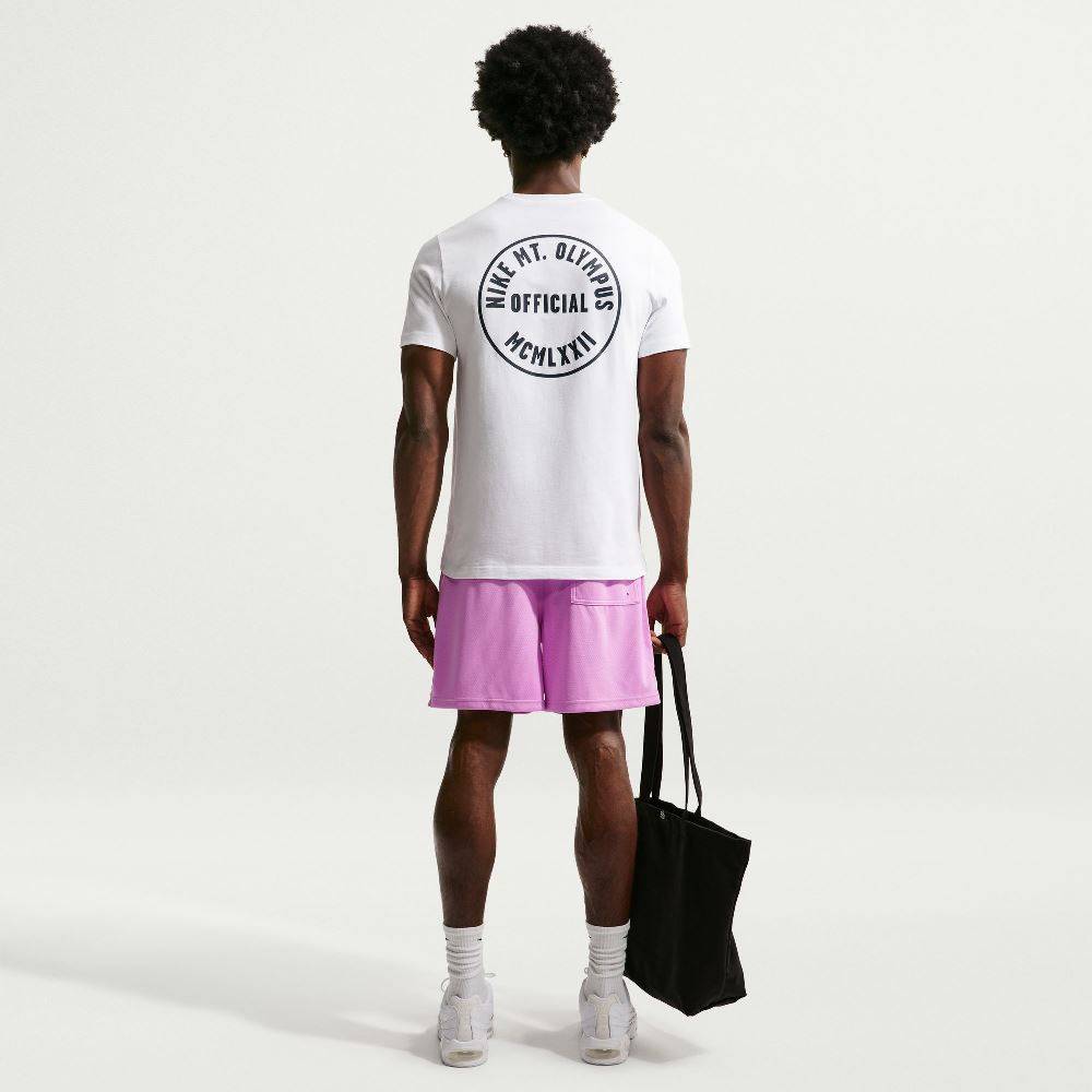 NIKE STANDARD CELEBRADE BRAND TEE