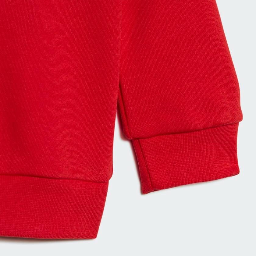 ADIDAS INFANT ADICOLOR HOODIE SET