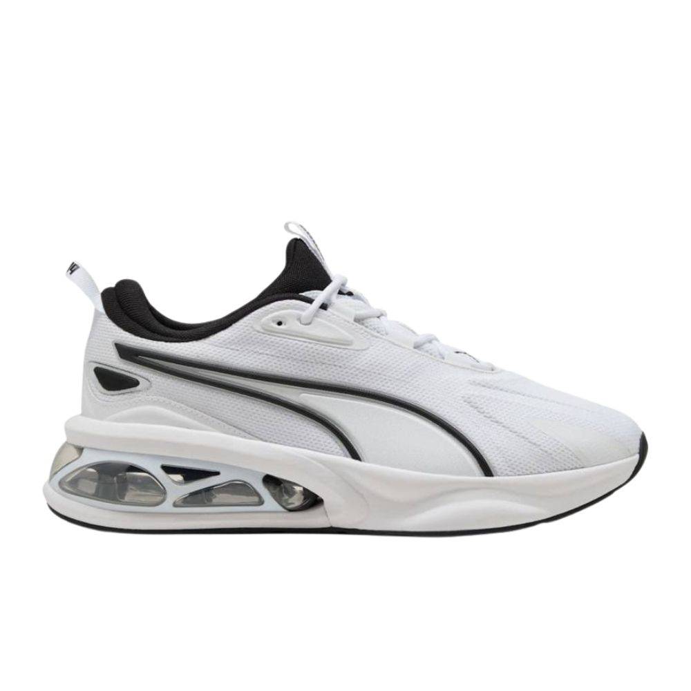 PUMA CELL SOLAR