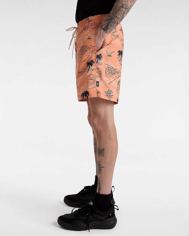 VANS PRIMARY PRINT ELASTIC BOARDSHORT