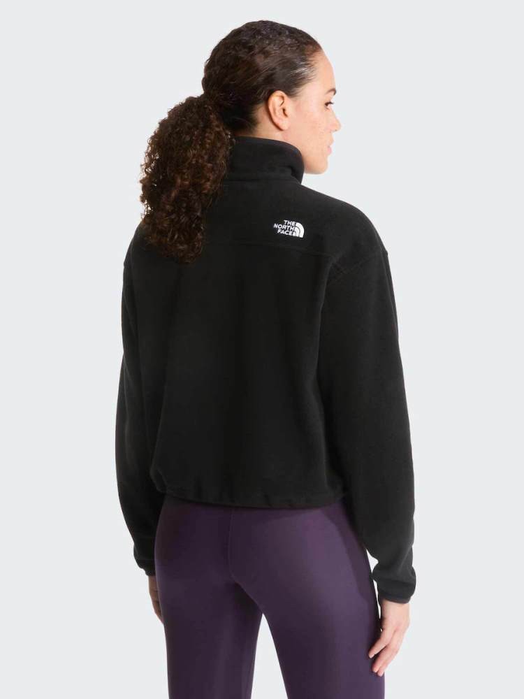 THE NORTH FACE W NOVELTY LOGO GLACIER 1/4 ZIP FLEECE