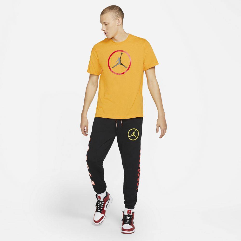 NIKE JORDAN SPORT DNA TEE
