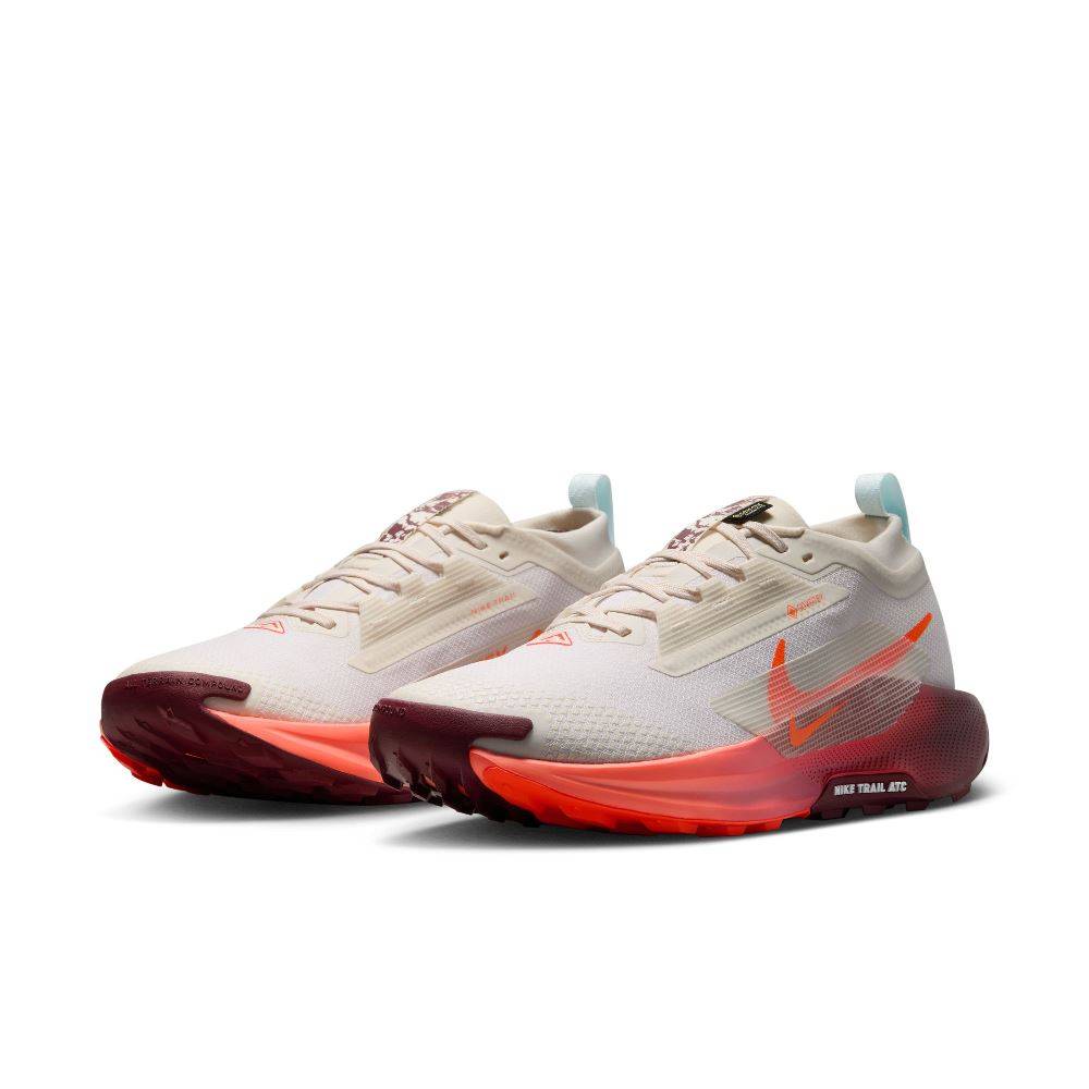 NIKE PEGASUS TRAIL 5 GTX