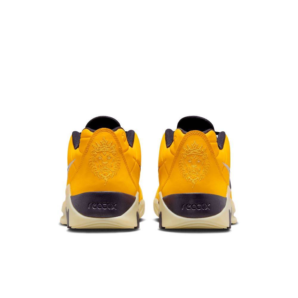 NIKE LEBRON WITNESS IX