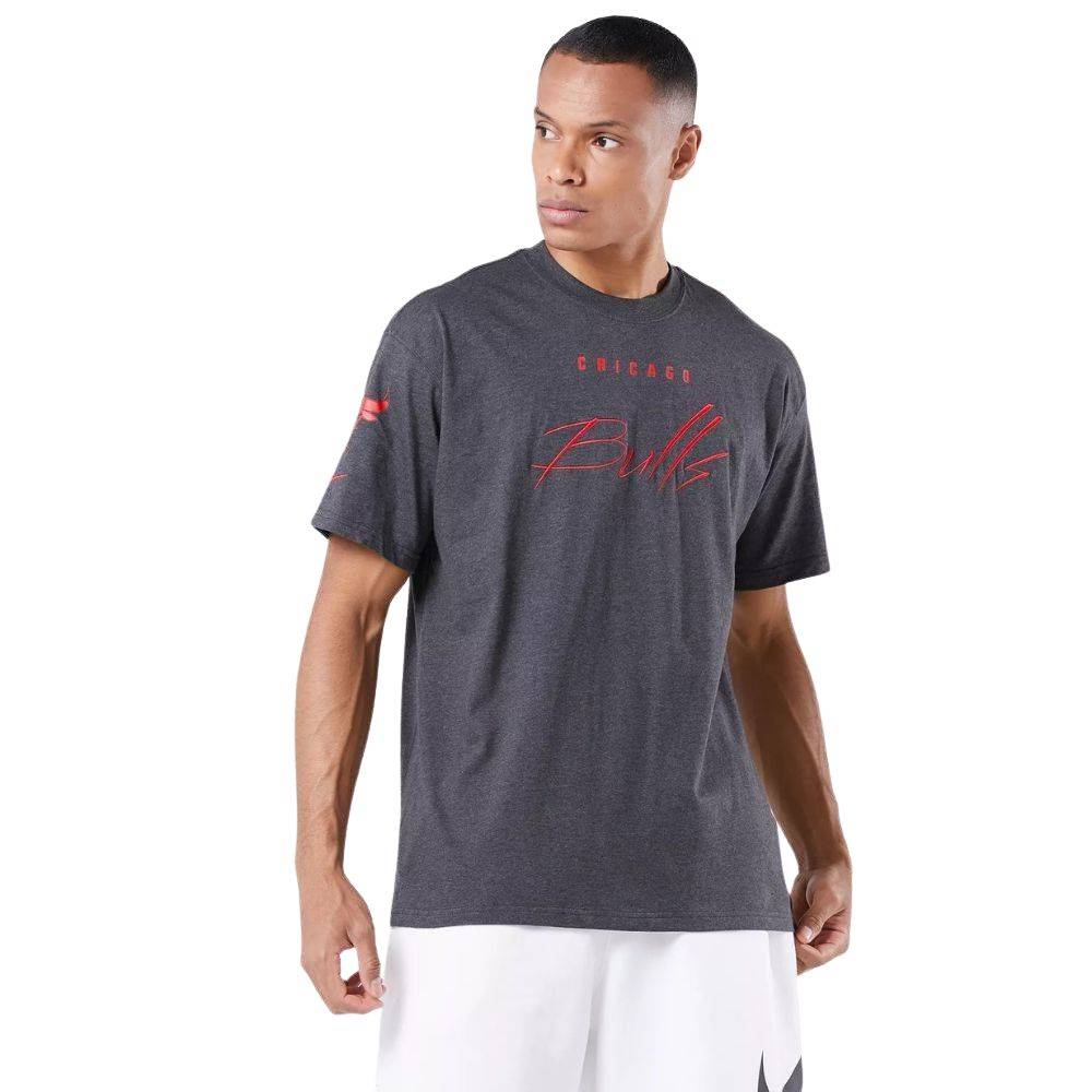 NIKE NBA CHICAGO BULLS COURTSIDE VS MAX 90 TEE