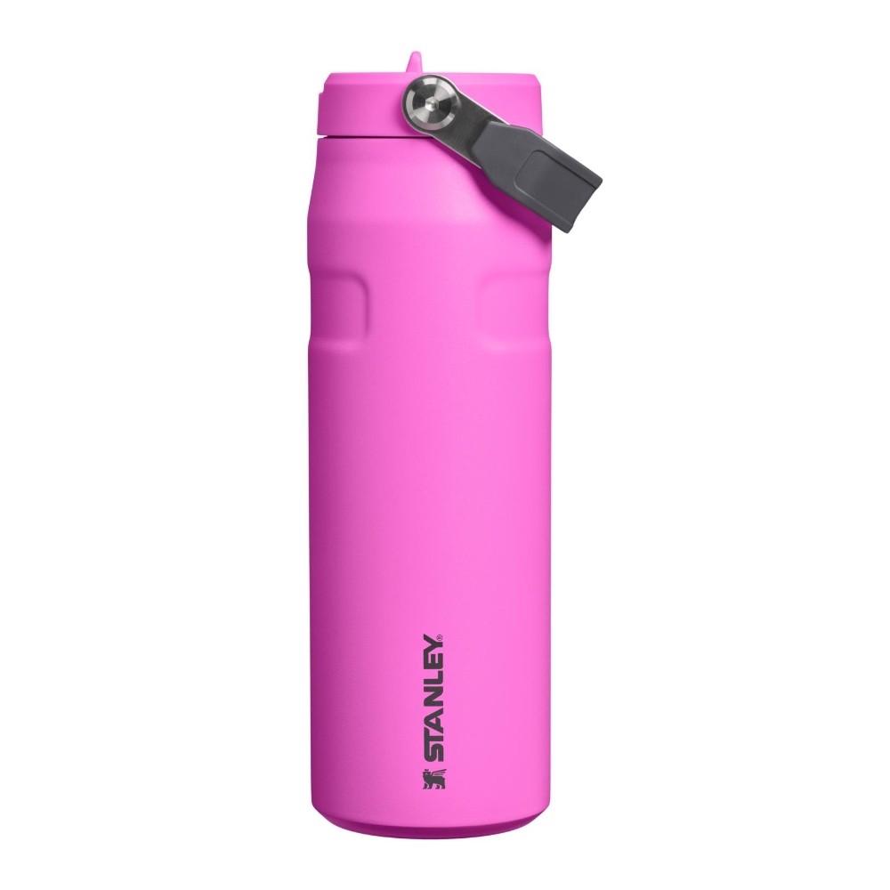 STANLEY ICEFLOW™ BOTTLE FLIP STRAW 2.0 0.7L (24OZ) - 12H COLD | 3 DAYS ICED
