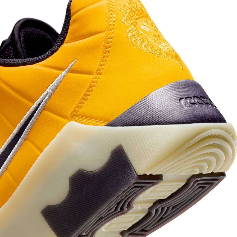 NIKE LEBRON WITNESS IX